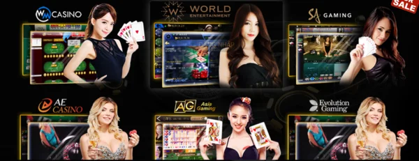 Live casino TYPHU88 cung cấp dịch vụ chất lượng và uy tín